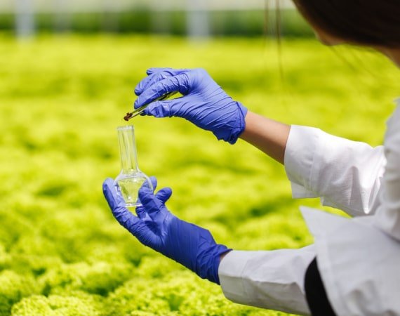 soil-testing